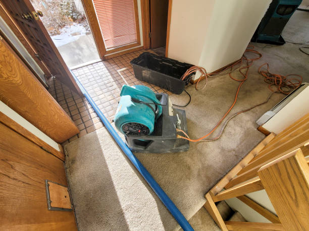 Best 24-hour water damage restoration  in Brinkley, AR