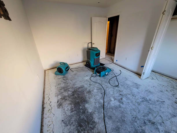 Best Water damage repair service  in Brinkley, AR