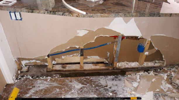 Best Flood restoration services  in Brinkley, AR