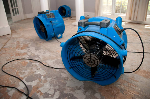 Best Water damage restoration near me  in Brinkley, AR