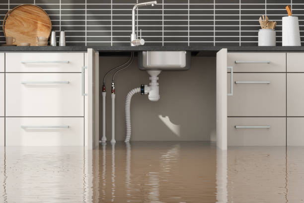 Best Flood restoration services  in Brinkley, AR