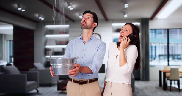 Best Mold removal after water damage  in Brinkley, AR