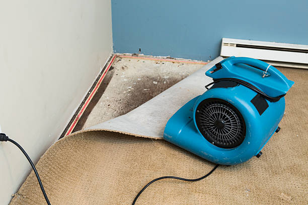 Best Carpet water damage restoration  in Brinkley, AR